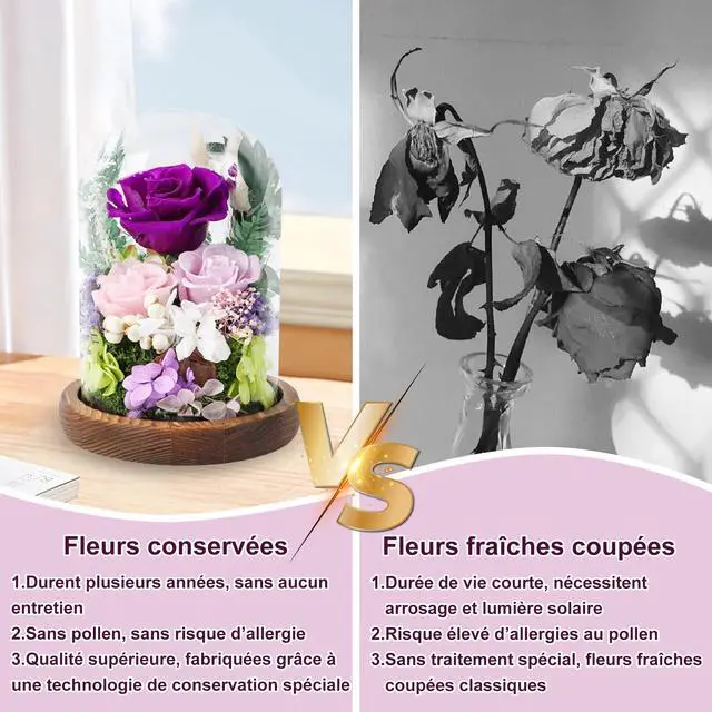 Alt view image 5 of 7 - Preserved Rose in Glass Dome, Long Lasting Flower Delivery Gifts for Women | Birthday Mothers Day Valentine Presents for Mom Grandma Wife Girlfriend(Purple)