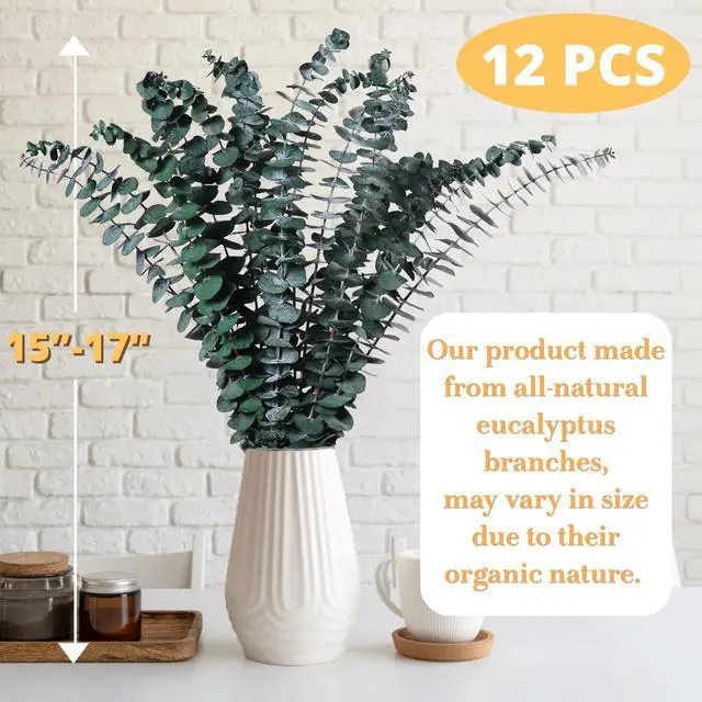 Alt view image 2 of 6 - 12PCS Dried Eucalyptus for Shower Hanging Real Preserved Eucalyptus Stems | 17'' IN Green Home Decor, 100% Made from Fresh Eucalyptus Leaves, Bathroom Shower Decor, Wedding, DIY