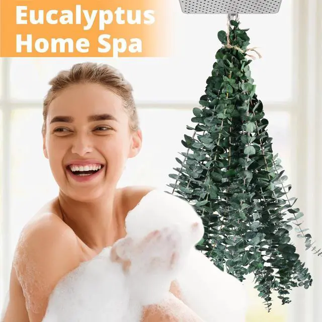 Alt view image 3 of 6 - 12PCS Dried Eucalyptus for Shower Hanging Real Preserved Eucalyptus Stems | 17'' IN Green Home Decor, 100% Made from Fresh Eucalyptus Leaves, Bathroom Shower Decor, Wedding, DIY
