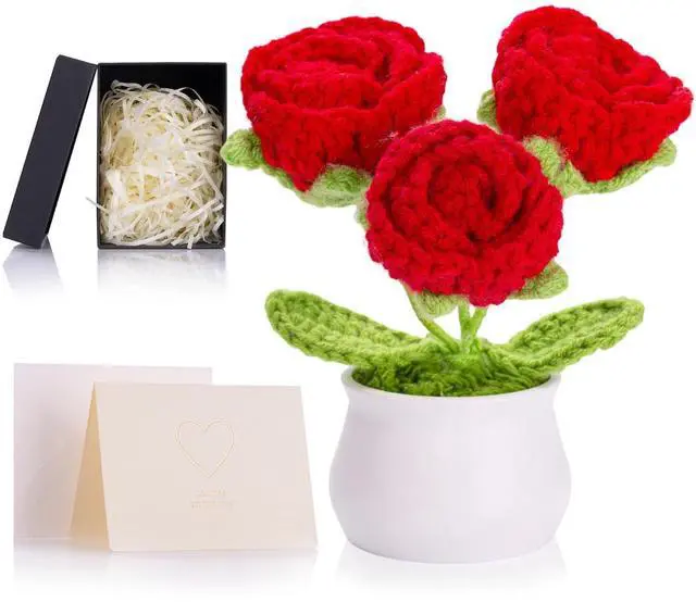 Main image of Red Eternal Crochet Roses Preserved Rose Forever Knitted Flower for Birthday Anniversary Red Crochet Gifts for Women
