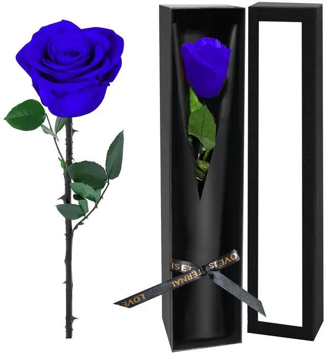 Main image of Blue Single Forever Roses in a Box,Preserved Flowers for Delivery,Preserved Rose Gifts for Women, Real Roses Gift for Her, Mom Birthday Gifts, Mothers Day Flowers,Valentines Flowers,Presents for Her