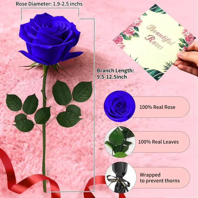 Alt view image 2 of 7 - Blue Single Forever Roses in a Box,Preserved Flowers for Delivery,Preserved Rose Gifts for Women, Real Roses Gift for Her, Mom Birthday Gifts, Mothers Day Flowers,Valentines Flowers,Presents for Her