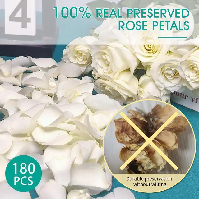 Alt view image 2 of 7 - 200Pcs Dried Real White Rose Petals, Freeze Preserved Flower Petals | 1.8oz for Gifts Wedding Party Decor, Dinner Table Centerpieces, Bridal Shower,Confetti