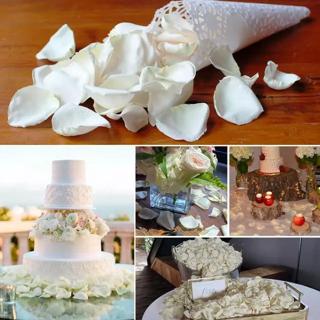 Alt view image 6 of 7 - 200Pcs Dried Real White Rose Petals, Freeze Preserved Flower Petals | 1.8oz for Gifts Wedding Party Decor, Dinner Table Centerpieces, Bridal Shower,Confetti