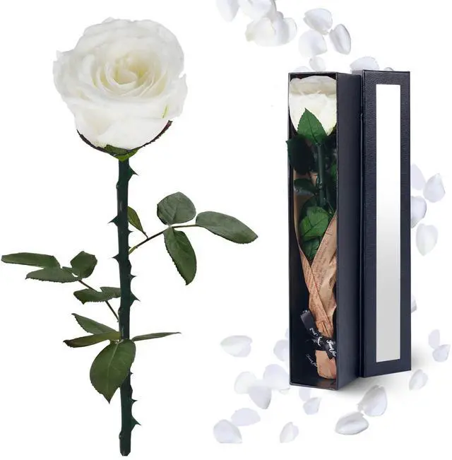 Main image of Preserved Flowers Gifts for Women: Single Rose White | Valentines Day Mothers Day Birthday Christmas