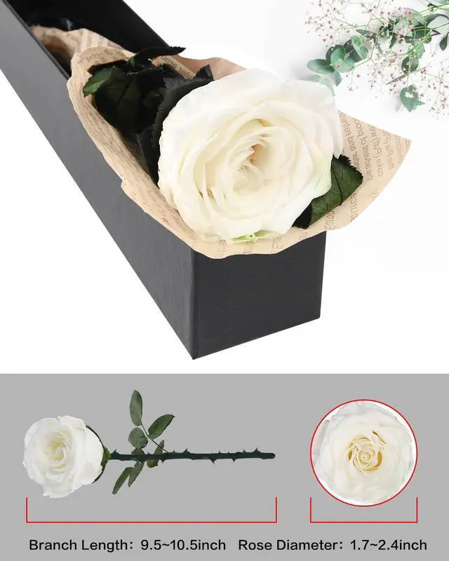 Alt view image 7 of 7 - Preserved Flowers Gifts for Women: Single Rose White | Valentines Day Mothers Day Birthday Christmas