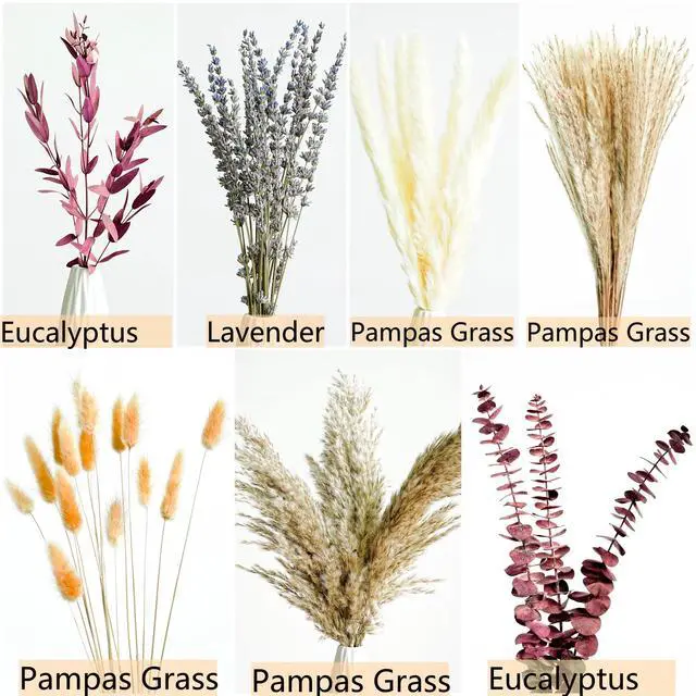 Alt view image 3 of 6 - Fall Dried Flower Bouquet with Pampas Grass, Orange Bunny Tails, Lavender & Red Eucalyptus Boho Fall Decor for Home, Vase, Porch & thanksgiving Autumn Floral Arrangements for Fall Decorations Indoor
