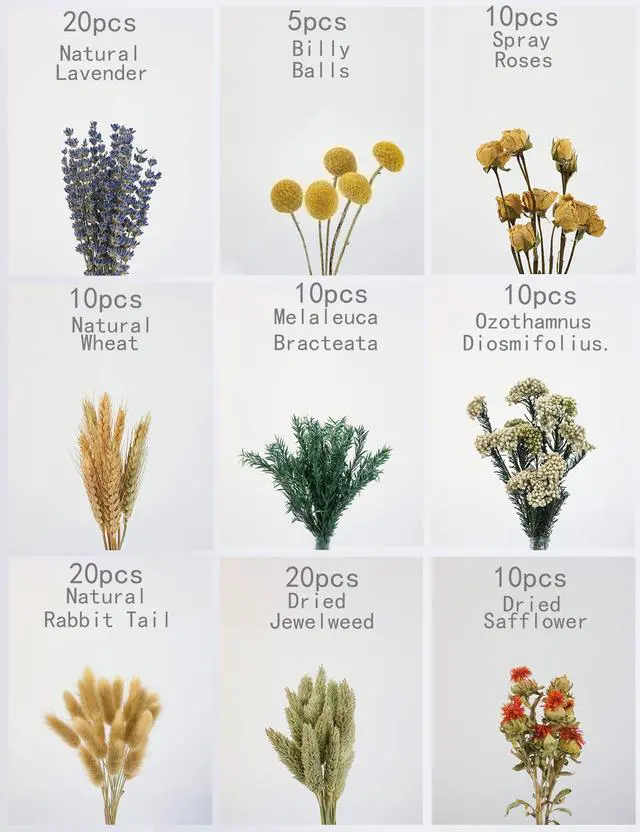 Alt view image 2 of 7 - DIY Natural Dried Flower Set, Bulk Dried Flowers for Vase, Dried Flowers with Stems, Dried Roses, Mini Dried Flower Bouquets.(Brown)
