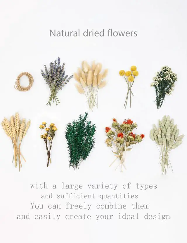 Alt view image 4 of 7 - DIY Natural Dried Flower Set, Bulk Dried Flowers for Vase, Dried Flowers with Stems, Dried Roses, Mini Dried Flower Bouquets.(Brown)