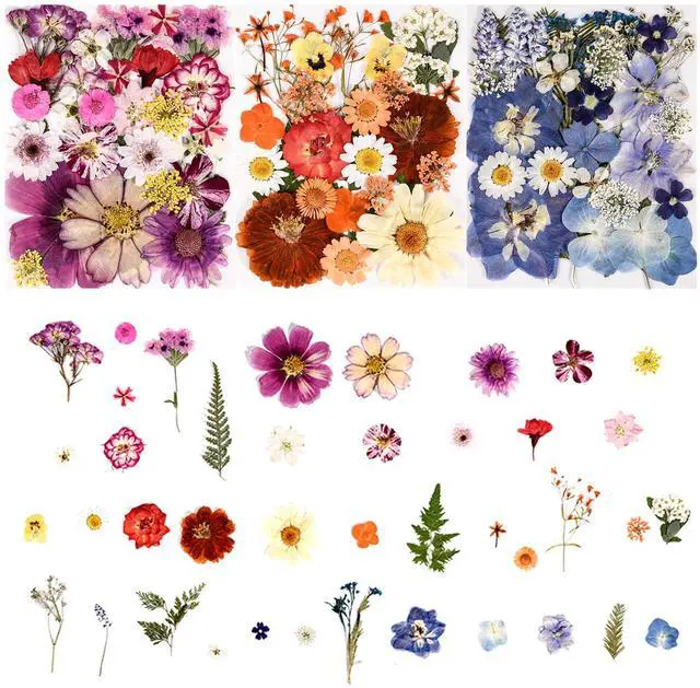 Alt view image 5 of 5 - 110+ Pcs Dried Pressed Flowers for Resin Crafts Colorful-C | real dry flowers and Leaves with Tweezers for resin molds DIY jewelry, scrapbooking, soap, candles, Nails Décor, Cards
