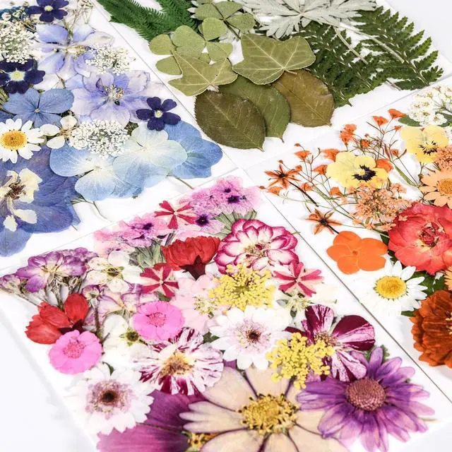 Alt view image 4 of 5 - 110+ Pcs Dried Pressed Flowers for Resin Crafts Colorful-C | real dry flowers and Leaves with Tweezers for resin molds DIY jewelry, scrapbooking, soap, candles, Nails Décor, Cards