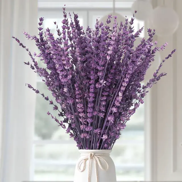 Main image of Dried Lavender Flowers Real Stems Purple Bouquet for Vase Decor | 15-17" preserved lavender stems with 1.76oz dried flowers for vase filler, wedding, crafts, farmhouse style, aromatherapy