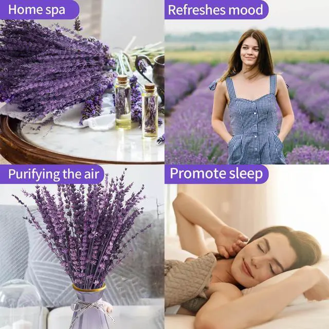 Alt view image 4 of 7 - Dried Lavender Flowers Real Stems Purple Bouquet for Vase Decor | 15-17" preserved lavender stems with 1.76oz dried flowers for vase filler, wedding, crafts, farmhouse style, aromatherapy