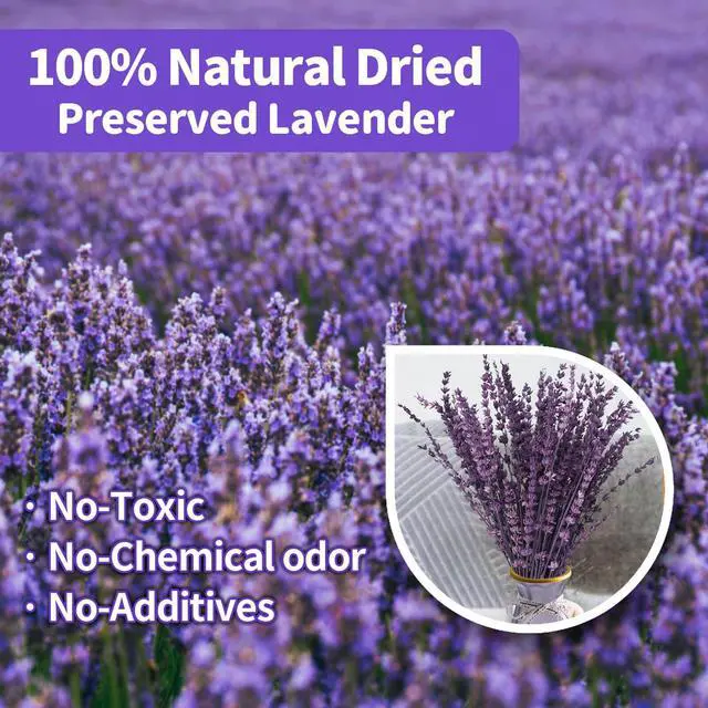 Alt view image 2 of 7 - Dried Lavender Flowers Real Stems Purple Bouquet for Vase Decor | 15-17" preserved lavender stems with 1.76oz dried flowers for vase filler, wedding, crafts, farmhouse style, aromatherapy