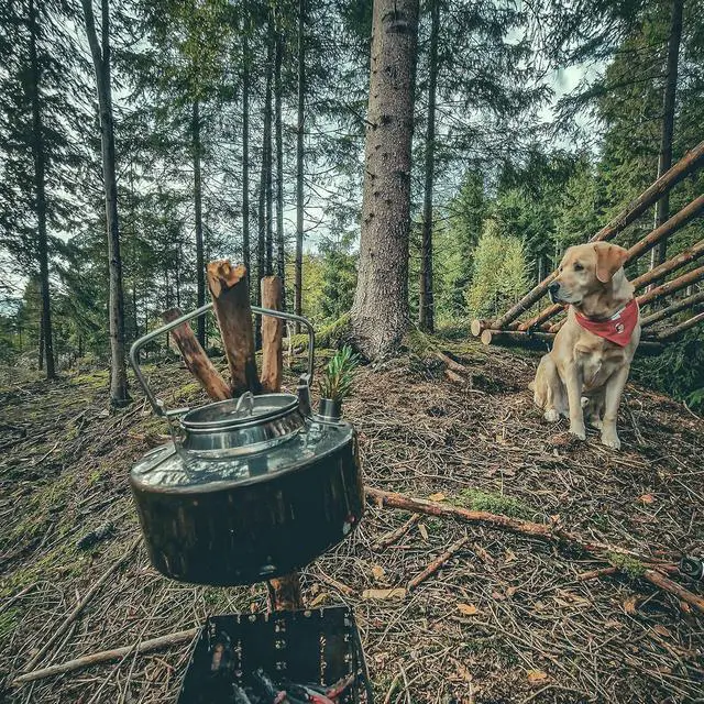 Alt view image 7 of 7 - Fire-Maple Antarcti Portable 1 Liter Lightweight Stainless Steel Camping Kettle | Durable and Portable Camp Tea Pot | Ideal for Bushcraft and Outdoor Campfire Use