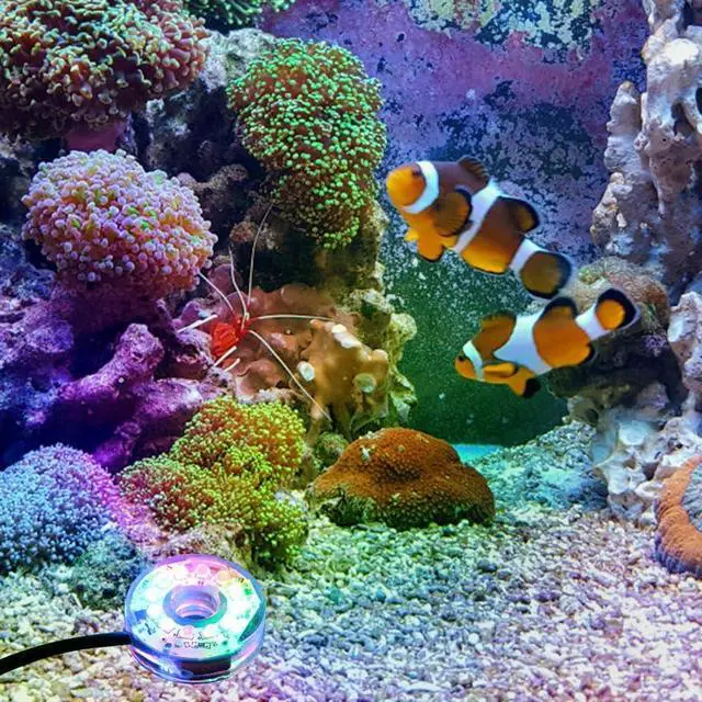 Alt view image 6 of 7 - LED Aquarium Light, Colorful Submersible LED Light Waterproof USB Underwater Light for Aquarium Fish Tank