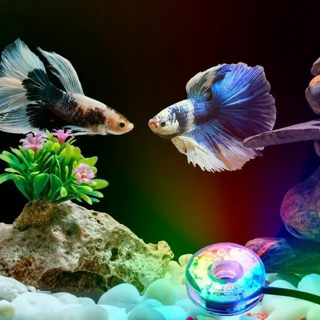 Alt view image 7 of 7 - LED Aquarium Light, Colorful Submersible LED Light Waterproof USB Underwater Light for Aquarium Fish Tank