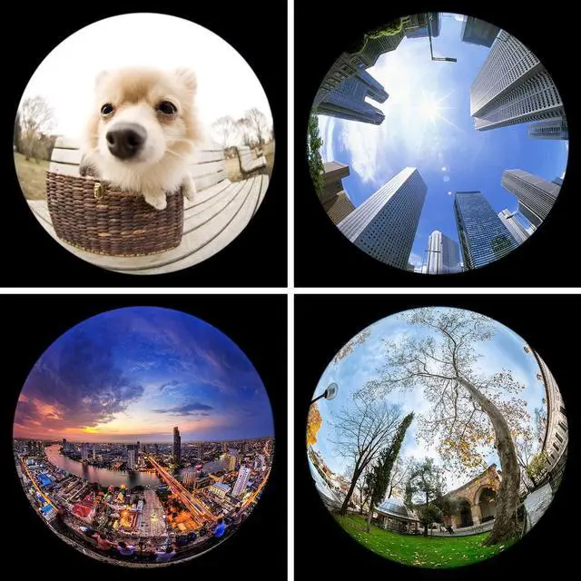Alt view image 4 of 7 - Fisheye Lens 198° Fish Eye Phone Camera Lens Kit for iPhone Fish Bowl Camera Lens Attachments for iPhone Samsung Smartphone Black