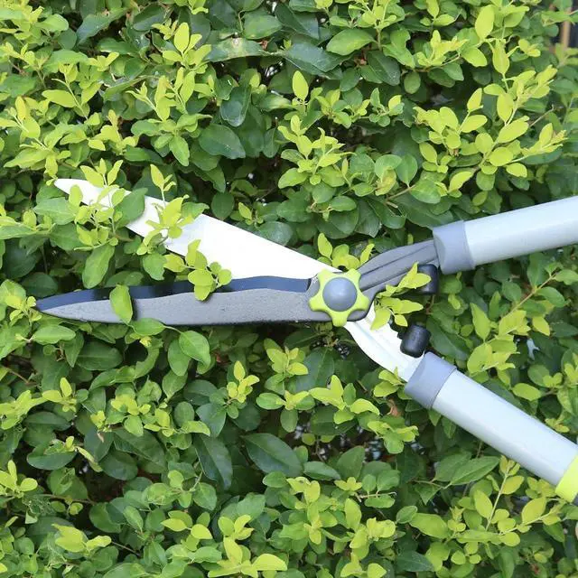 Alt view image 12 of 14 - Garden Loppers Pruning Shears, Updated 3PCS Hedge Clippers Combo Set, Branch Cutter with Compound Action, Chops Thick High Branch Ease, Professional Tree Trimmer Set Heavy Duty