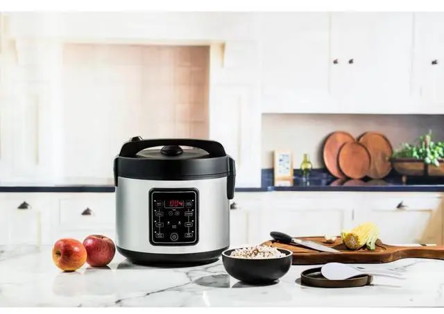 Main image of 20 Cup Digital Multicooker & Rice Cooker - Stainless Steel, 5 Settings, Auto Keep Warm, Nonstick, 700W