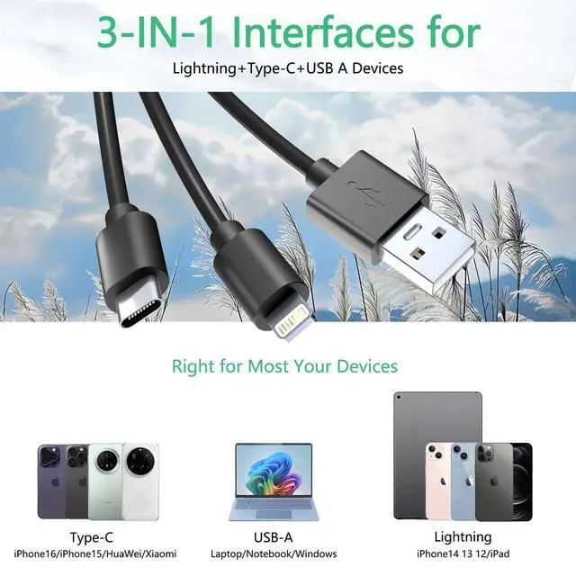 Alt view image 10 of 12 - Memory Stick Pro Duo Adapter - 4 in 1 SD/TF/MS/XD Card Reader for iPhone 16/15/14/iPad/PC/Android/MAC, Lightning/USB-C/USB-A Multi Memory Card Reader Digital Camera Adapter for Sony Cybershot SD Card