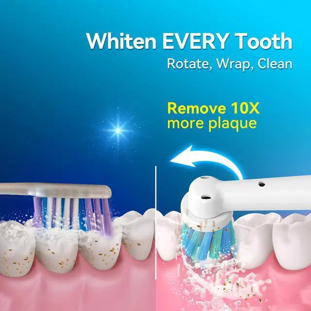 Alt view image 10 of 14 - Rotating Electric Toothbrush with 8 Round Brush Heads, with 5 Cleaning Modes, Sonic Technology Whitening Teeth in 14 Days, for Adult and Kids, SG-2603 (Blue)
