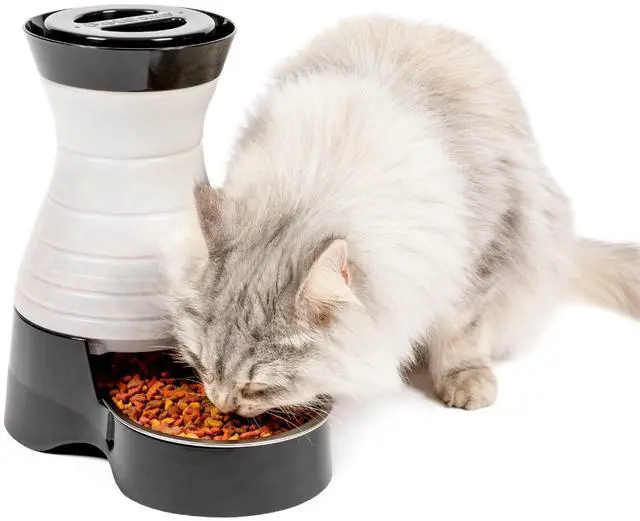 Alt view image 6 of 10 - Healthy Pet Food Station - Automatic Indoor Gravity Cat & Dog Feeder - Space-Saving Self Feeder - Easy to Clean - Small - Up to 2 lb Kibble Capacity