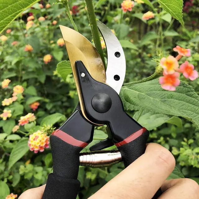 Alt view image 6 of 7 - 8" Professional Premium Titanium Bypass Pruning Shears (GPPS-1003), Hand Pruners, Garden Clippers, Bonsai Cutters