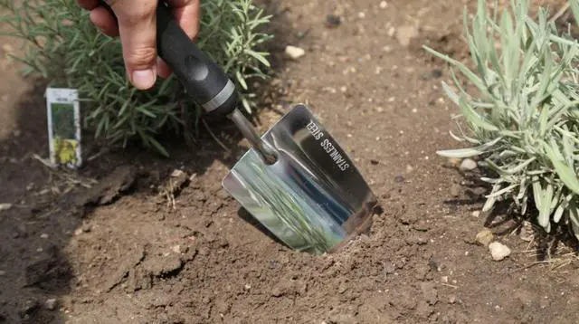 Alt view image 3 of 4 - Bend-Proof Garden Trowel - Heavy Duty Polished Stainless Steel - Rust Resistant Oversized Garden Hand Shovel for Quicker Work - Digs Through Rocky/Heavy soils - Comfort Grip (1)