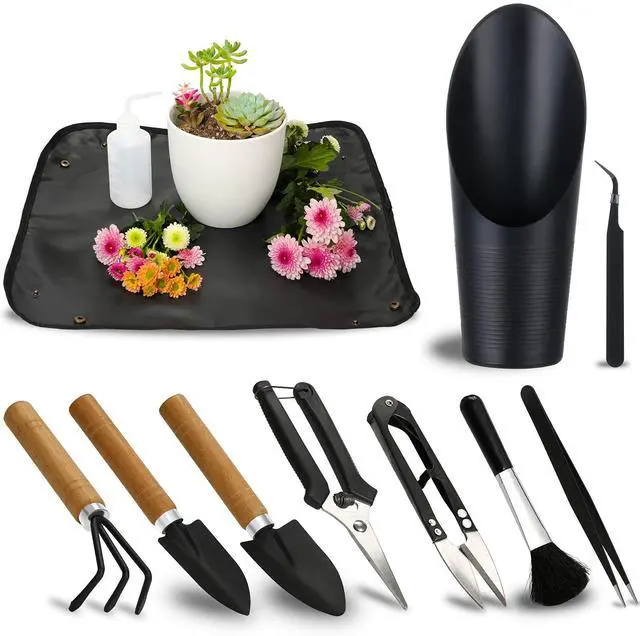 Main image of 11Pcs Succulent Tools,Mini Garden Tools,Succulent Watering Tool as Plant Accessories,Succulent Gardending Hand Tools Kit for Seedling Soil,Caring Succulent,Houseplant,Gifts for Woman (No Flowerpot)