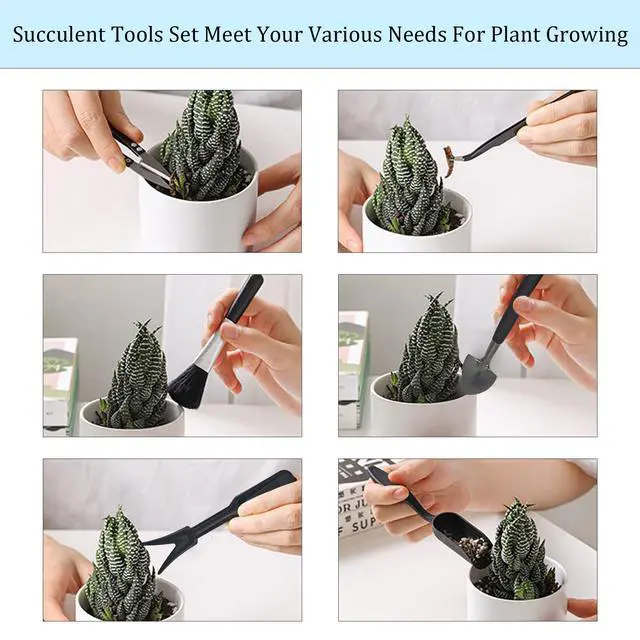 Alt view image 5 of 7 - 13Pcs Succulent Tools Set Mini Garden Tools Kit for Indoor Bonsai Cactus Care with Pruning Shears Scissors Transplanting Tools for Houseplant