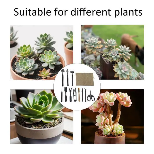 Alt view image 7 of 7 - 13Pcs Succulent Tools Set Mini Garden Tools Kit for Indoor Bonsai Cactus Care with Pruning Shears Scissors Transplanting Tools for Houseplant