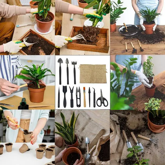 Alt view image 6 of 7 - 13Pcs Succulent Tools Set Mini Garden Tools Kit for Indoor Bonsai Cactus Care with Pruning Shears Scissors Transplanting Tools for Houseplant