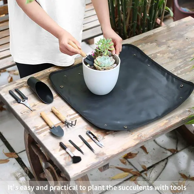 Alt view image 5 of 7 - 11Pcs Succulent Tools,Mini Garden Tools,Succulent Watering Tool as Plant Accessories,Succulent Gardending Hand Tools Kit for Seedling Soil,Caring Succulent,Houseplant,Gifts for Woman (No Flowerpot)