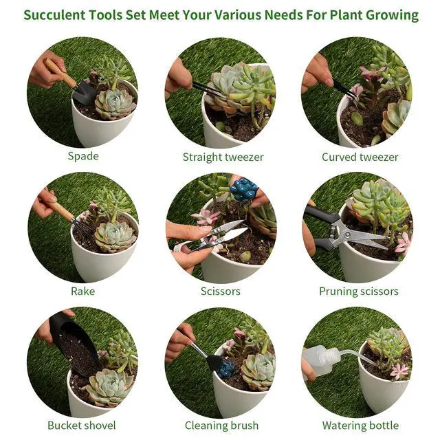 Alt view image 3 of 7 - 11Pcs Succulent Tools,Mini Garden Tools,Succulent Watering Tool as Plant Accessories,Succulent Gardending Hand Tools Kit for Seedling Soil,Caring Succulent,Houseplant,Gifts for Woman (No Flowerpot)