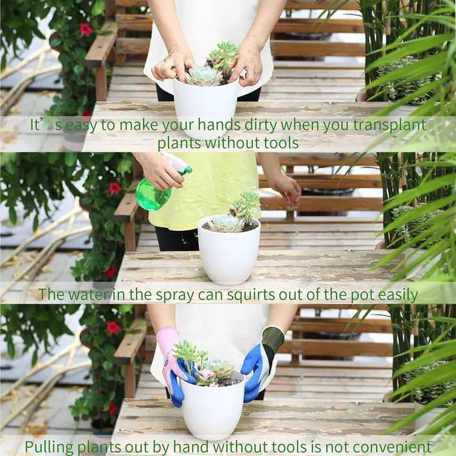 Alt view image 7 of 7 - 11Pcs Succulent Tools,Mini Garden Tools,Succulent Watering Tool as Plant Accessories,Succulent Gardending Hand Tools Kit for Seedling Soil,Caring Succulent,Houseplant,Gifts for Woman (No Flowerpot)