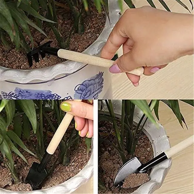 Alt view image 6 of 6 - 6 Pcs Garden Tools Mini Gardening Kit Plant Potted Flower Gadget Wooden Handles for Transplanting Seedlings, Cultivating and Weeding Flowers and Vegetable Seedlings