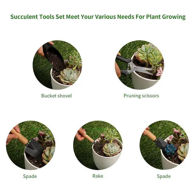 Alt view image 3 of 7 - 5Pcs Succulent Tools,Mini Garden Tools,Pruning Scissors as Plant Accessories, Gardending Hand Tools Kit for Seedling Soil,Caring Succulent,Houseplent,Bonsi,Gifts for Woman and Man