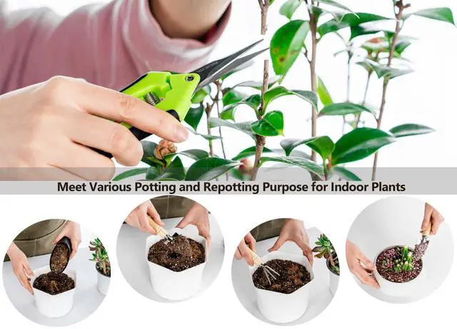 Alt view image 2 of 6 - 5Pcs Succulent Tools Mini Garden Small Gardening Tools Indoor, Pruning Shear Gardening Scissors, Hand kit for Bonsai, Cactus, Fairy, Houseplant of Transplanting, Repotting, Seedling Soil