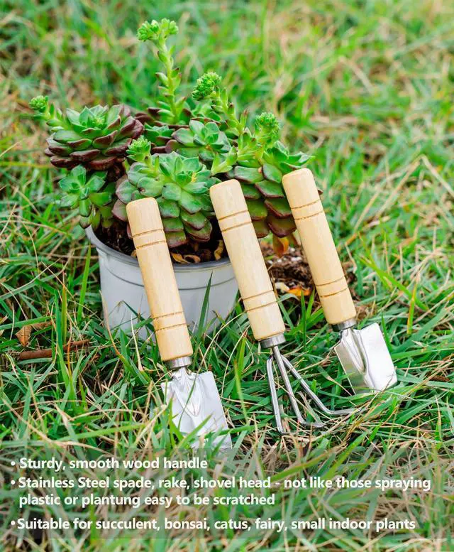 Alt view image 4 of 6 - 5Pcs Succulent Tools Mini Garden Small Gardening Tools Indoor, Pruning Shear Gardening Scissors, Hand kit for Bonsai, Cactus, Fairy, Houseplant of Transplanting, Repotting, Seedling Soil