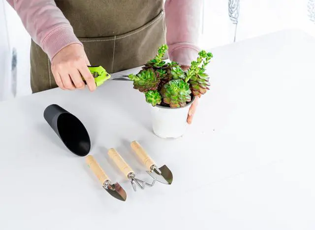 Alt view image 5 of 6 - 5Pcs Succulent Tools Mini Garden Small Gardening Tools Indoor, Pruning Shear Gardening Scissors, Hand kit for Bonsai, Cactus, Fairy, Houseplant of Transplanting, Repotting, Seedling Soil