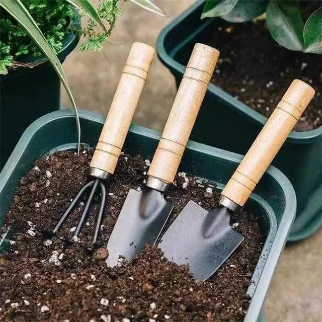 Alt view image 4 of 7 - 3 Pcs Mini Gardening Tool Set, Shovel, Spade, Rake Kit with Ergonomic Wooden Handles, Ideal for Planting, Weeding and Cultivating, Gardening Plant Tool for Cactus Herbs Indoor Miniature Plants (1 Set)
