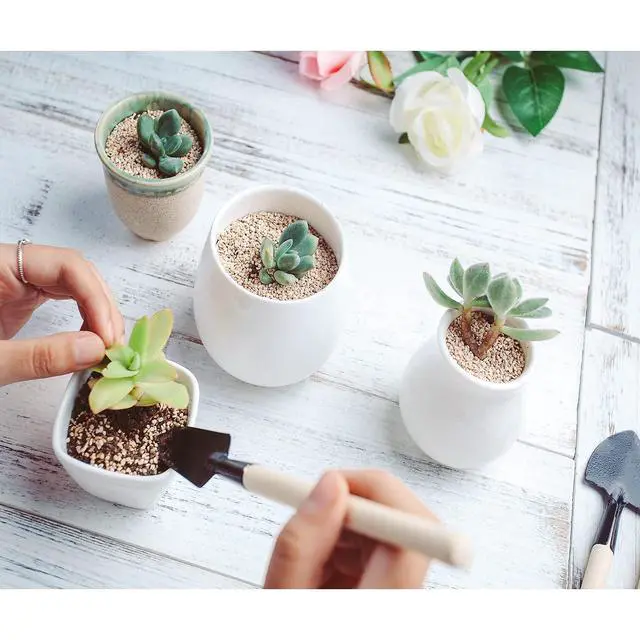 Alt view image 3 of 7 - Mini Gardening Tools, 3pcs Portable Garden Hand Tools Set, Miniature Gardening Rake Trowel and Shovel for Seedlings, Bonsai, Succulents, Herbs, Terrariums and Planting (3pcs)