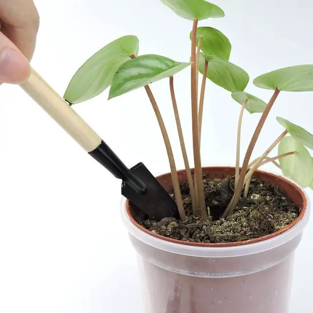Alt view image 4 of 7 - Mini Gardening Tools, 3pcs Portable Garden Hand Tools Set, Miniature Gardening Rake Trowel and Shovel for Seedlings, Bonsai, Succulents, Herbs, Terrariums and Planting (3pcs)
