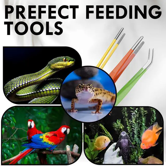 Alt view image 7 of 7 - Garden Tweezers set of 3,15cm Size Stainless Steel for Succulents & Cactus Plant Care and Maintenance Multi Purpose Tools