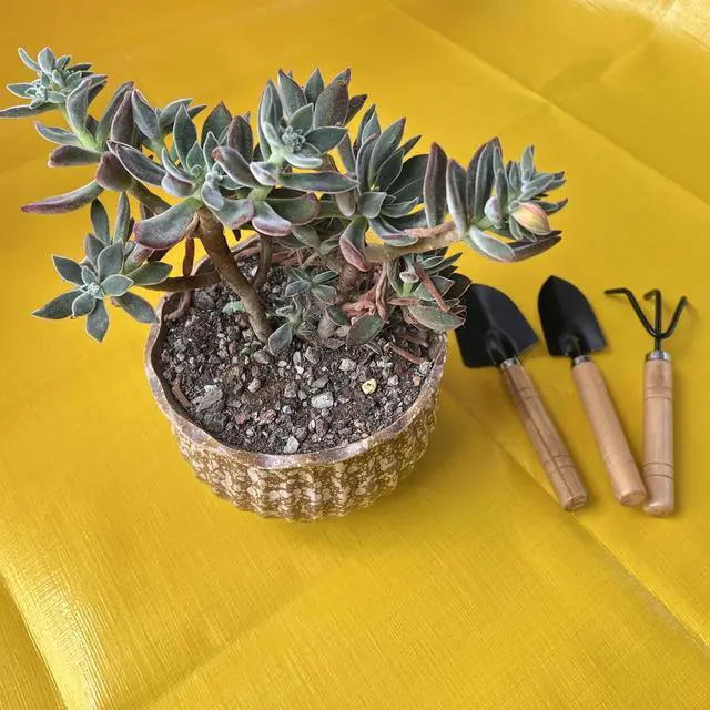 Alt view image 3 of 5 - Kids Gardening Tools Set, 3-Piece Shovel Trowel Rake Kit
