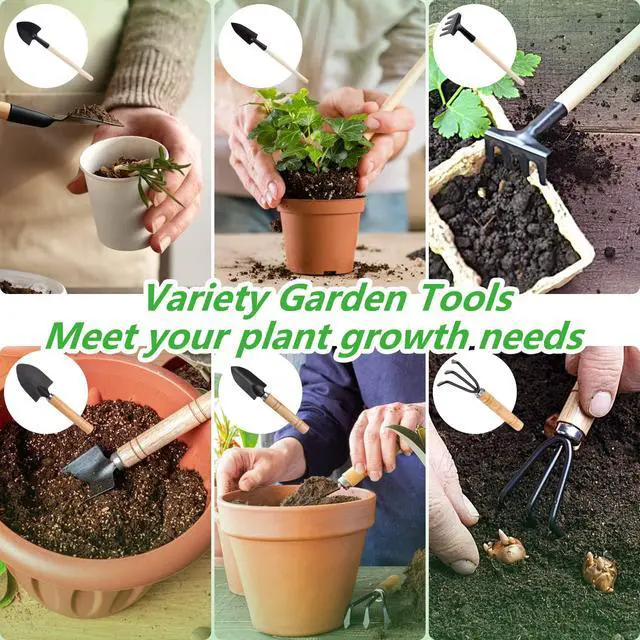 Alt view image 6 of 6 - Small Garden Tool Set, 6 Pieces Iron Gardening Kit Including Hand Shovel, Transplant Shovel and Hand Rake with Wood Non-Slip Handle Perfect for Plant Lovers