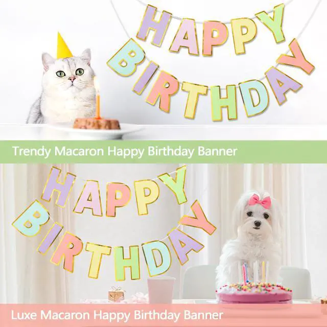 Alt view image 6 of 7 - Pre-Strung Happy Birthday Banner - Pastel Macaron Party Decorations | adjustable cord, sparkling gold foil border, premium sturdy cardstock, no DIY needed for easy hanging, photo booth backdrop