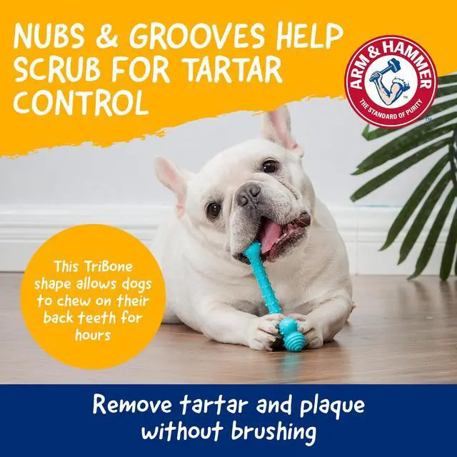 Alt view image 3 of 7 - Nubbies T-Bone Dental Dog Chew Toy, Peanut Butter Flavor | Durable nylon and TPR nubs clean teeth and gums; built for aggressive chewers