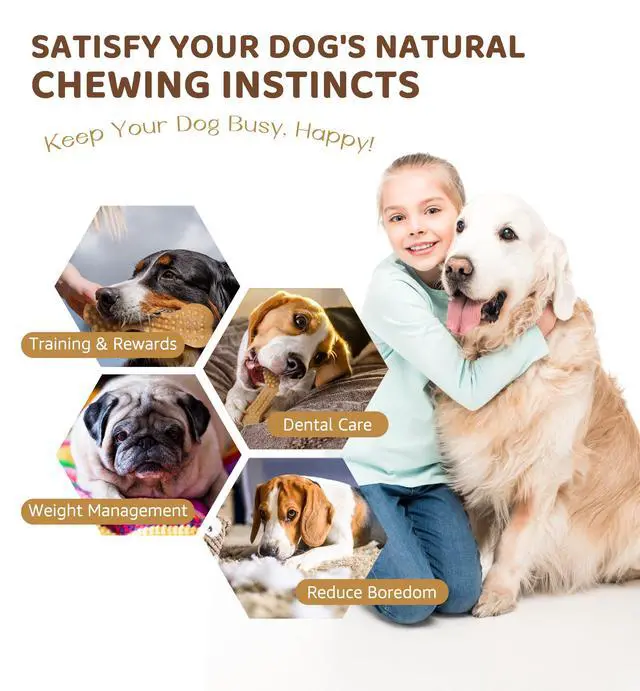 Alt view image 5 of 6 - Durable Dog Chew Toy for Aggressive Chewers, Tough Dental Toy for Teeth Cleaning, Boredom & Anxiety Relief, Long-Lasting Toy for All Dog Sizes & Teething Puppies, Keep Them Busy